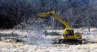 land clearing